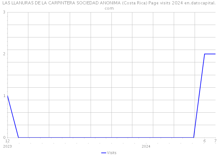 LAS LLANURAS DE LA CARPINTERA SOCIEDAD ANONIMA (Costa Rica) Page visits 2024 