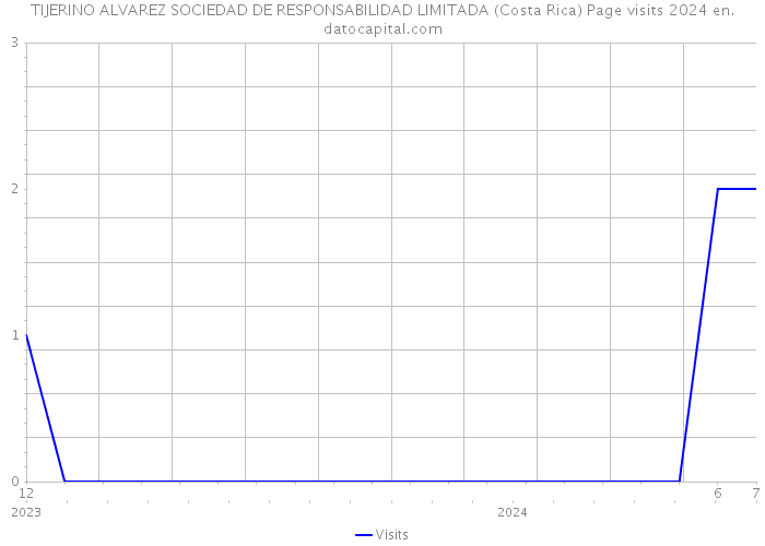 TIJERINO ALVAREZ SOCIEDAD DE RESPONSABILIDAD LIMITADA (Costa Rica) Page visits 2024 