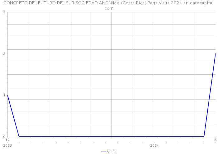 CONCRETO DEL FUTURO DEL SUR SOCIEDAD ANONIMA (Costa Rica) Page visits 2024 