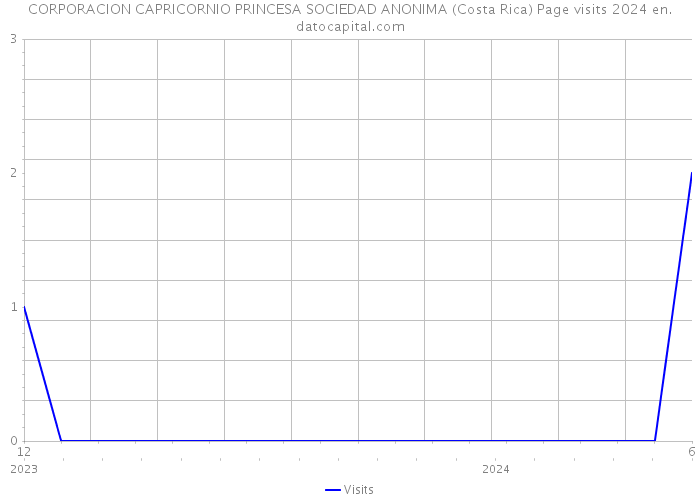 CORPORACION CAPRICORNIO PRINCESA SOCIEDAD ANONIMA (Costa Rica) Page visits 2024 
