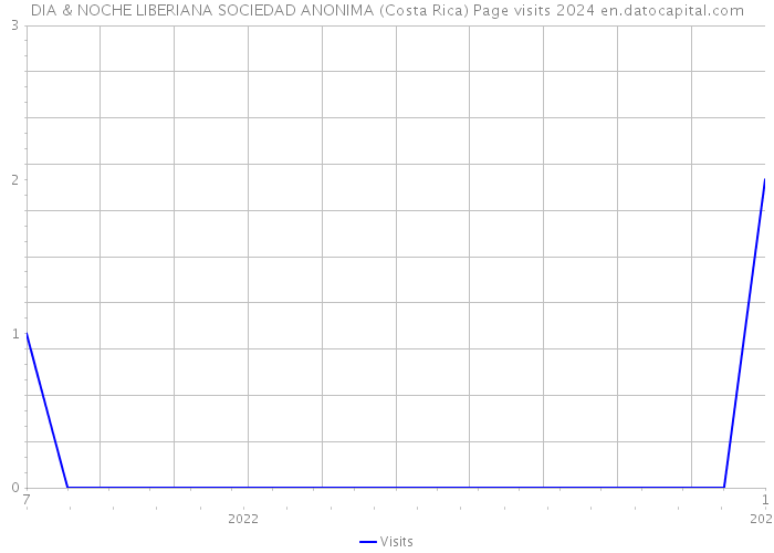 DIA & NOCHE LIBERIANA SOCIEDAD ANONIMA (Costa Rica) Page visits 2024 