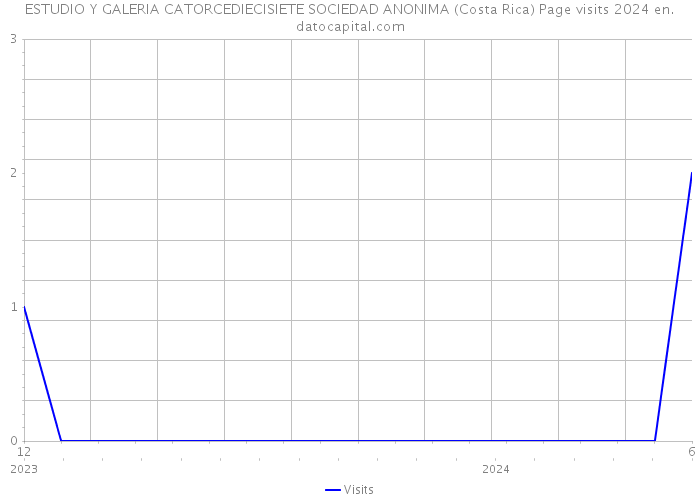 ESTUDIO Y GALERIA CATORCEDIECISIETE SOCIEDAD ANONIMA (Costa Rica) Page visits 2024 