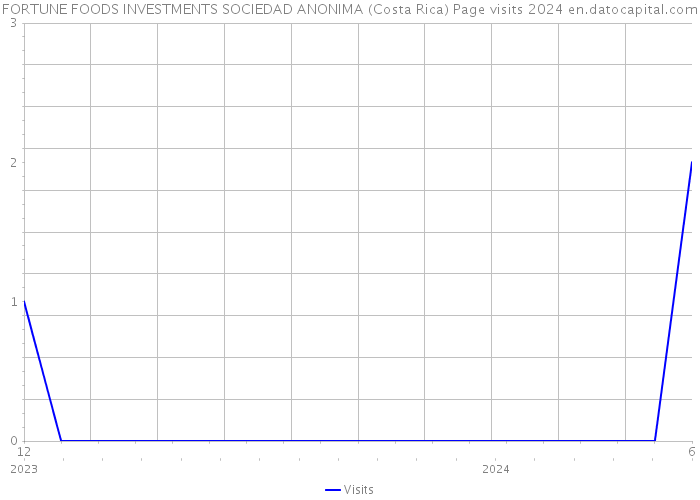 FORTUNE FOODS INVESTMENTS SOCIEDAD ANONIMA (Costa Rica) Page visits 2024 