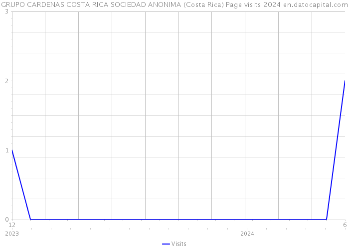 GRUPO CARDENAS COSTA RICA SOCIEDAD ANONIMA (Costa Rica) Page visits 2024 