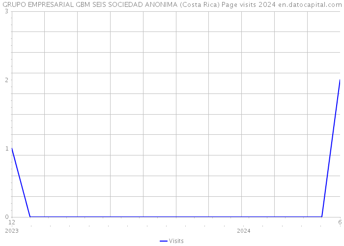 GRUPO EMPRESARIAL GBM SEIS SOCIEDAD ANONIMA (Costa Rica) Page visits 2024 