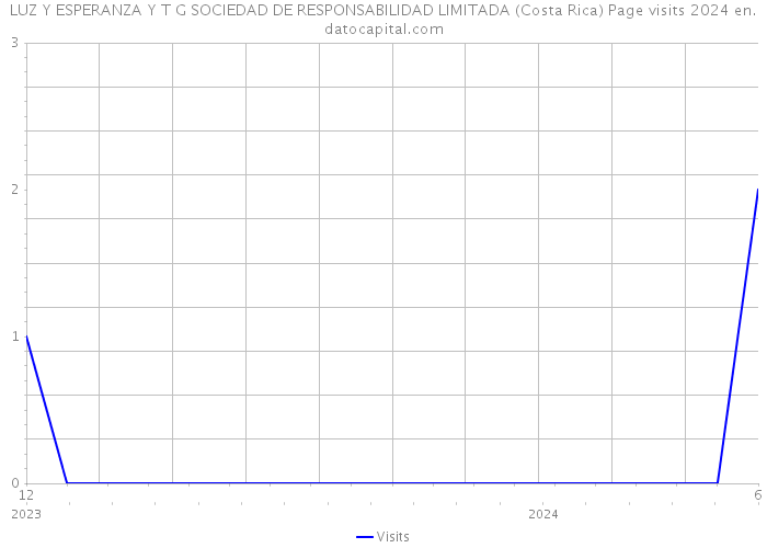 LUZ Y ESPERANZA Y T G SOCIEDAD DE RESPONSABILIDAD LIMITADA (Costa Rica) Page visits 2024 