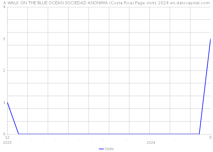 A WALK ON THE BLUE OCEAN SOCIEDAD ANONIMA (Costa Rica) Page visits 2024 