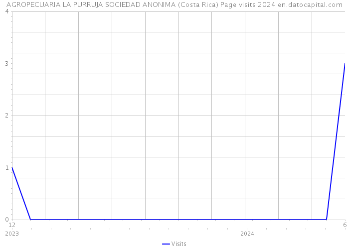 AGROPECUARIA LA PURRUJA SOCIEDAD ANONIMA (Costa Rica) Page visits 2024 