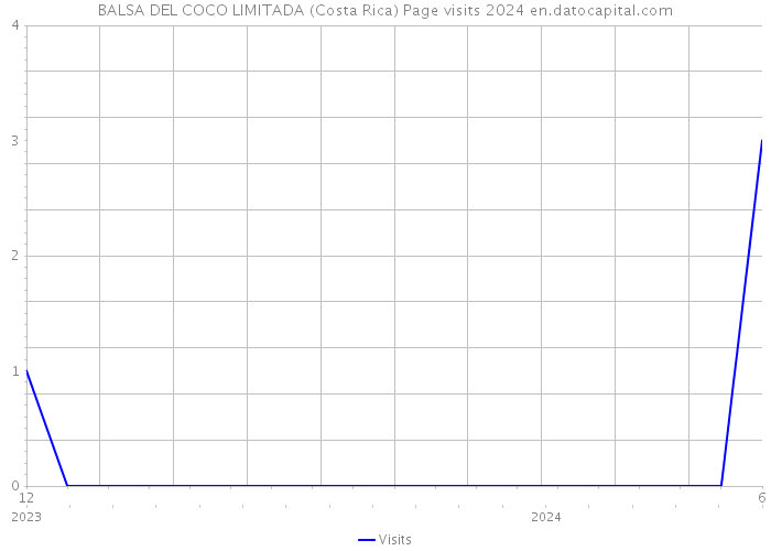 BALSA DEL COCO LIMITADA (Costa Rica) Page visits 2024 