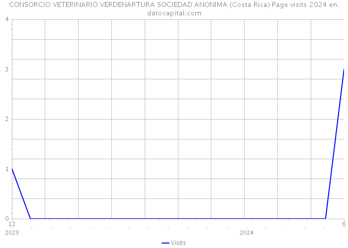 CONSORCIO VETERINARIO VERDENARTURA SOCIEDAD ANONIMA (Costa Rica) Page visits 2024 