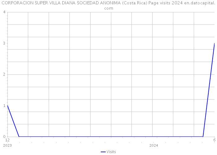 CORPORACION SUPER VILLA DIANA SOCIEDAD ANONIMA (Costa Rica) Page visits 2024 