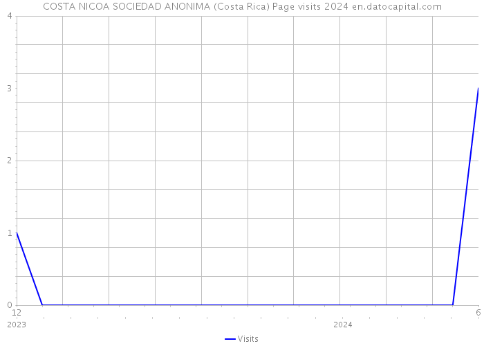 COSTA NICOA SOCIEDAD ANONIMA (Costa Rica) Page visits 2024 