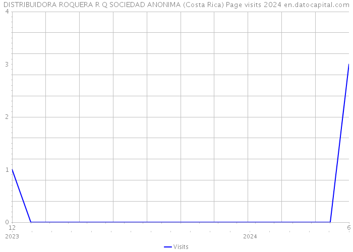 DISTRIBUIDORA ROQUERA R Q SOCIEDAD ANONIMA (Costa Rica) Page visits 2024 