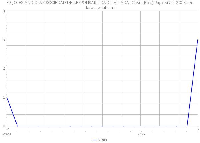 FRIJOLES AND OLAS SOCIEDAD DE RESPONSABILIDAD LIMITADA (Costa Rica) Page visits 2024 