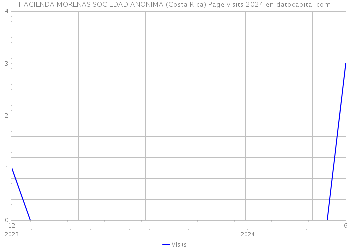HACIENDA MORENAS SOCIEDAD ANONIMA (Costa Rica) Page visits 2024 