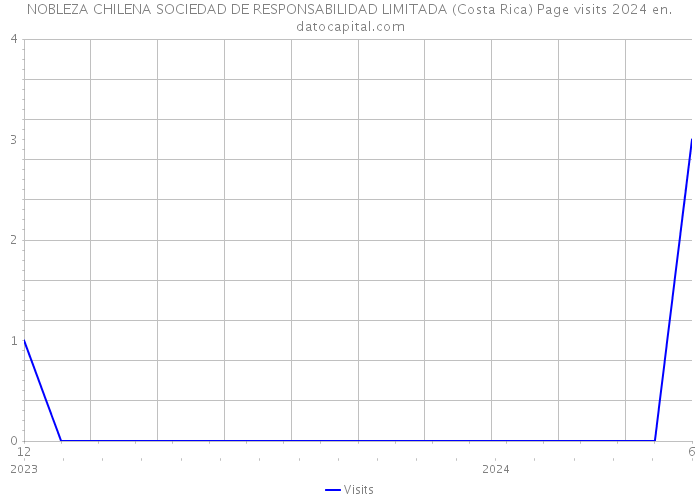 NOBLEZA CHILENA SOCIEDAD DE RESPONSABILIDAD LIMITADA (Costa Rica) Page visits 2024 