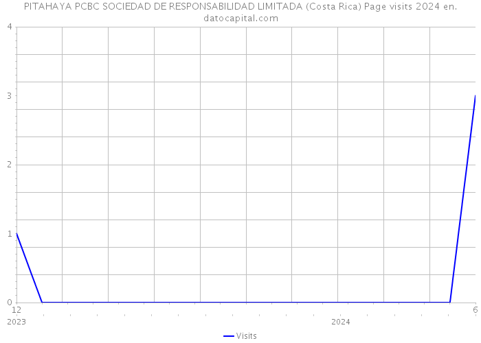 PITAHAYA PCBC SOCIEDAD DE RESPONSABILIDAD LIMITADA (Costa Rica) Page visits 2024 