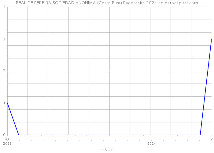 REAL DE PEREIRA SOCIEDAD ANONIMA (Costa Rica) Page visits 2024 