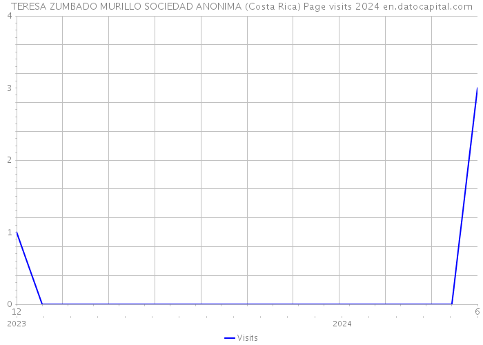 TERESA ZUMBADO MURILLO SOCIEDAD ANONIMA (Costa Rica) Page visits 2024 