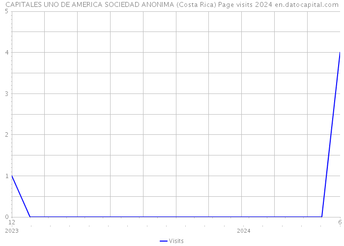 CAPITALES UNO DE AMERICA SOCIEDAD ANONIMA (Costa Rica) Page visits 2024 