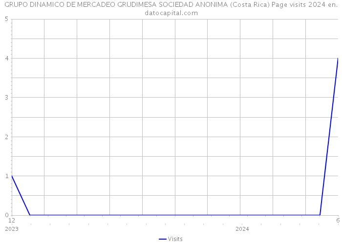 GRUPO DINAMICO DE MERCADEO GRUDIMESA SOCIEDAD ANONIMA (Costa Rica) Page visits 2024 