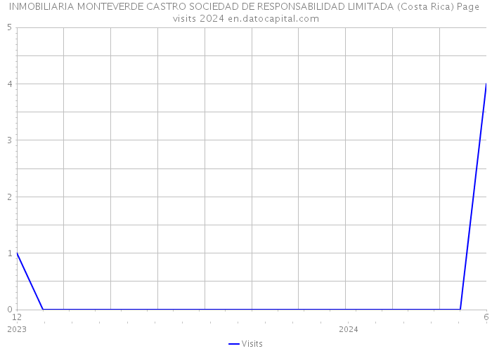 INMOBILIARIA MONTEVERDE CASTRO SOCIEDAD DE RESPONSABILIDAD LIMITADA (Costa Rica) Page visits 2024 