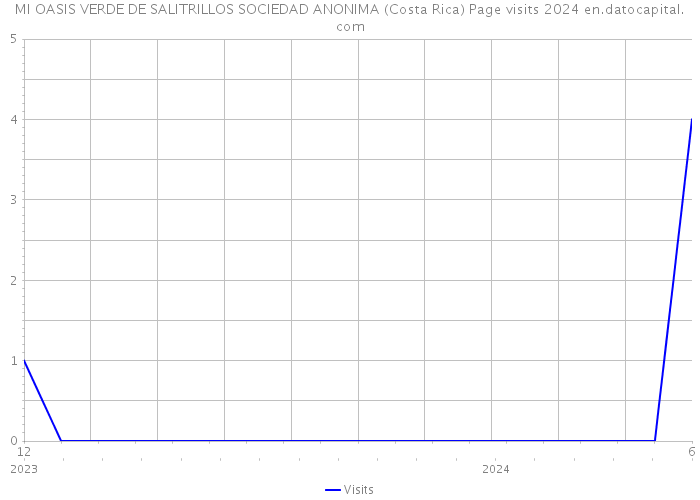 MI OASIS VERDE DE SALITRILLOS SOCIEDAD ANONIMA (Costa Rica) Page visits 2024 