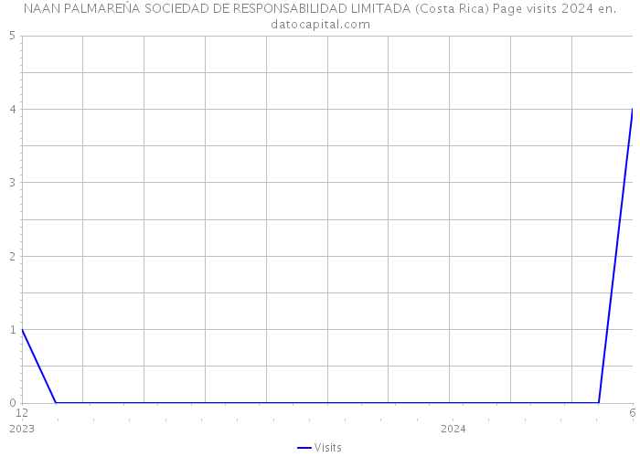 NAAN PALMAREŃA SOCIEDAD DE RESPONSABILIDAD LIMITADA (Costa Rica) Page visits 2024 