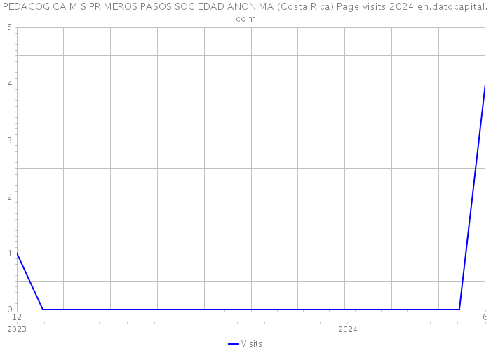 PEDAGOGICA MIS PRIMEROS PASOS SOCIEDAD ANONIMA (Costa Rica) Page visits 2024 