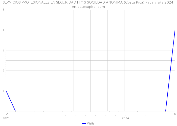 SERVICIOS PROFESIONALES EN SEGURIDAD H Y S SOCIEDAD ANONIMA (Costa Rica) Page visits 2024 