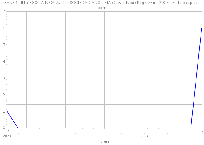 BAKER TILLY COSTA RICA AUDIT SOCIEDAD ANONIMA (Costa Rica) Page visits 2024 