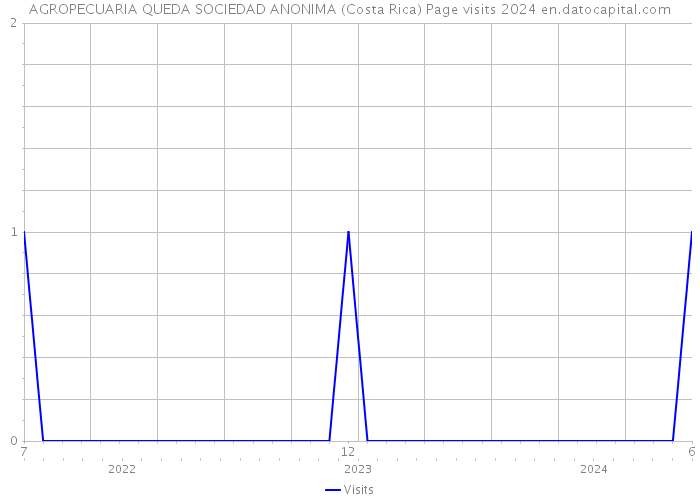 AGROPECUARIA QUEDA SOCIEDAD ANONIMA (Costa Rica) Page visits 2024 