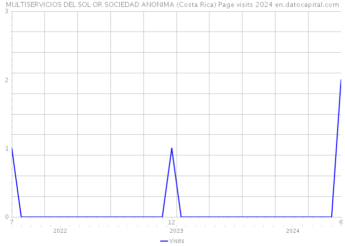 MULTISERVICIOS DEL SOL OR SOCIEDAD ANONIMA (Costa Rica) Page visits 2024 
