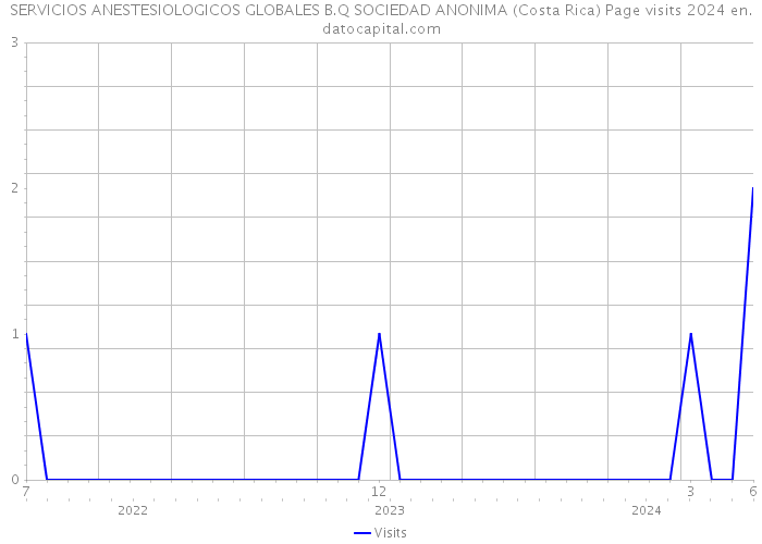 SERVICIOS ANESTESIOLOGICOS GLOBALES B.Q SOCIEDAD ANONIMA (Costa Rica) Page visits 2024 