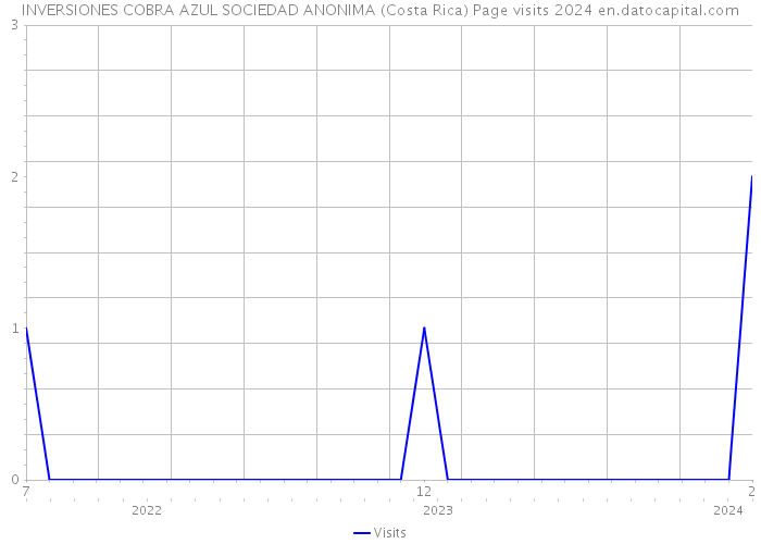 INVERSIONES COBRA AZUL SOCIEDAD ANONIMA (Costa Rica) Page visits 2024 