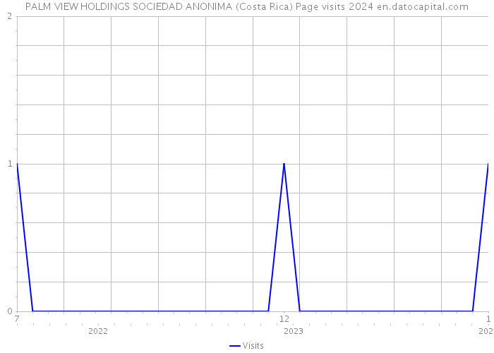 PALM VIEW HOLDINGS SOCIEDAD ANONIMA (Costa Rica) Page visits 2024 