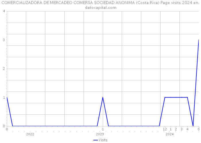 COMERCIALIZADORA DE MERCADEO COMERSA SOCIEDAD ANONIMA (Costa Rica) Page visits 2024 
