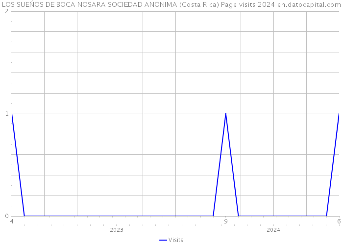 LOS SUEŃOS DE BOCA NOSARA SOCIEDAD ANONIMA (Costa Rica) Page visits 2024 
