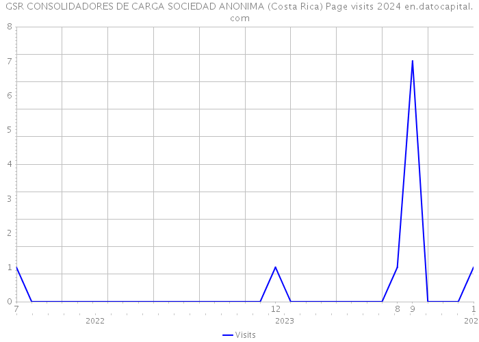 GSR CONSOLIDADORES DE CARGA SOCIEDAD ANONIMA (Costa Rica) Page visits 2024 