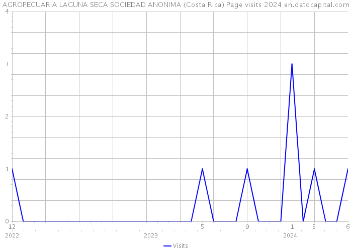 AGROPECUARIA LAGUNA SECA SOCIEDAD ANONIMA (Costa Rica) Page visits 2024 