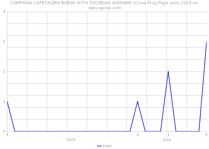 COMPAŃIA CAFETALERA BUENA VISTA SOCIEDAD ANONIMA (Costa Rica) Page visits 2024 