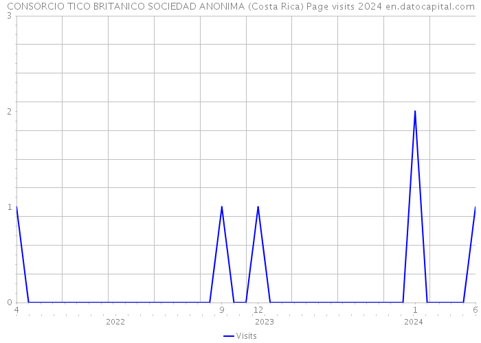 CONSORCIO TICO BRITANICO SOCIEDAD ANONIMA (Costa Rica) Page visits 2024 