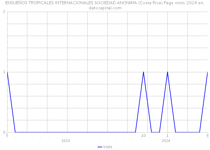ENSUEŃOS TROPICALES INTERNACIONALES SOCIEDAD ANONIMA (Costa Rica) Page visits 2024 