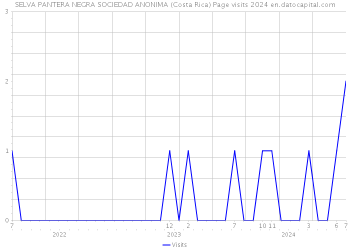 SELVA PANTERA NEGRA SOCIEDAD ANONIMA (Costa Rica) Page visits 2024 