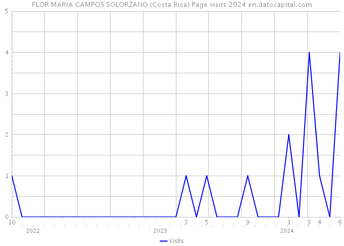 FLOR MARIA CAMPOS SOLORZANO (Costa Rica) Page visits 2024 