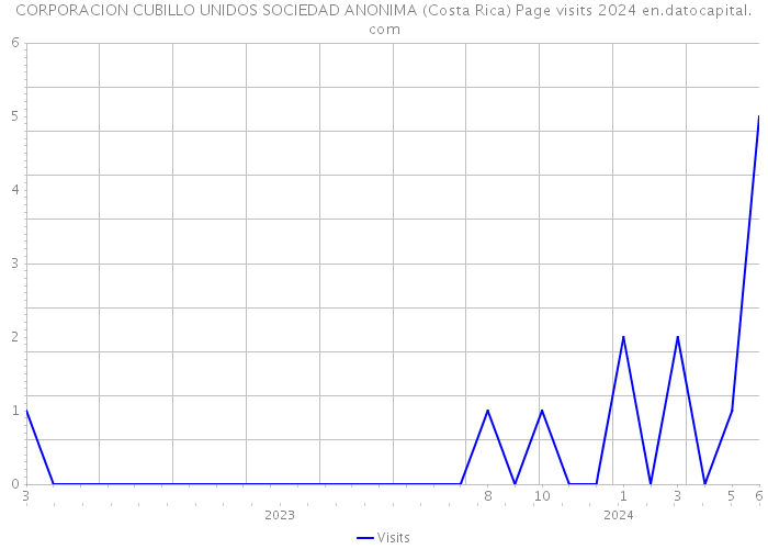 CORPORACION CUBILLO UNIDOS SOCIEDAD ANONIMA (Costa Rica) Page visits 2024 