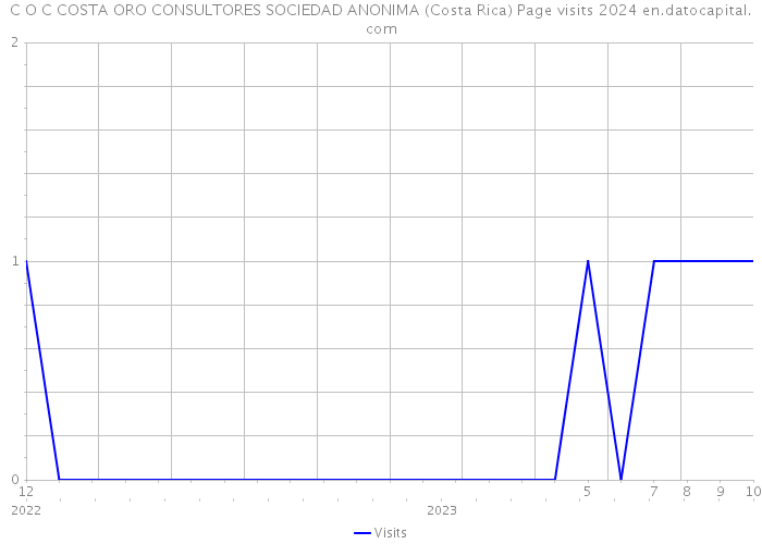 C O C COSTA ORO CONSULTORES SOCIEDAD ANONIMA (Costa Rica) Page visits 2024 