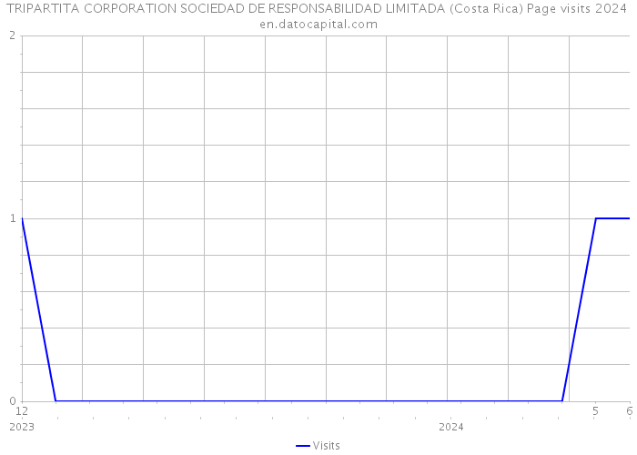 TRIPARTITA CORPORATION SOCIEDAD DE RESPONSABILIDAD LIMITADA (Costa Rica) Page visits 2024 