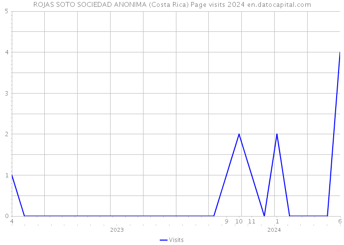 ROJAS SOTO SOCIEDAD ANONIMA (Costa Rica) Page visits 2024 