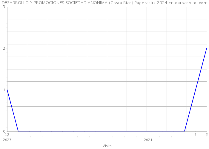 DESARROLLO Y PROMOCIONES SOCIEDAD ANONIMA (Costa Rica) Page visits 2024 